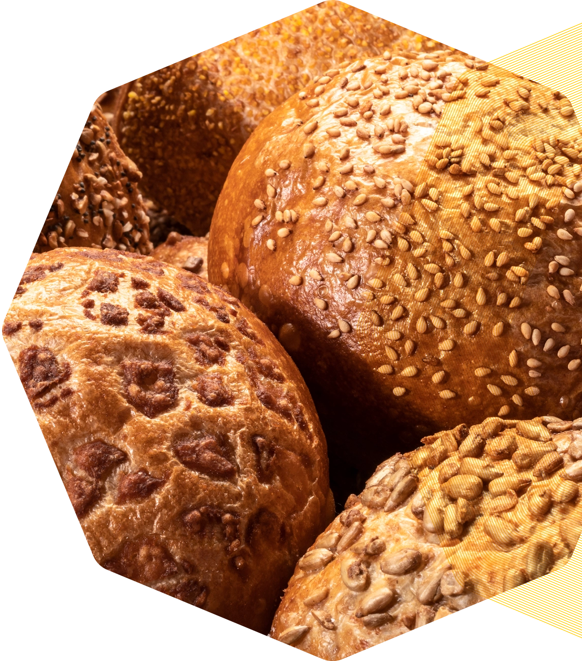 Bakkerij Visser &ndash; vers gerezen deegbollen liggen klaar om gebakken te worden.