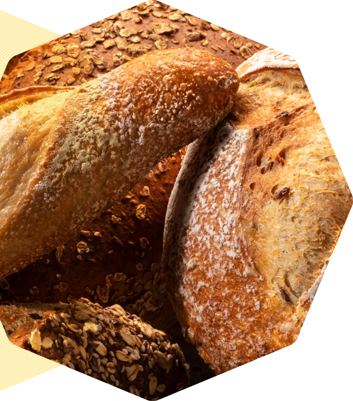 Bakkerij Visser &ndash; rustieke broden met een krokante korst en rijke graanstructuur.